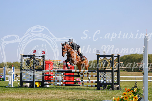 2025 - Haylee - Harvest Horse Show - Sunday, September 14th 12153