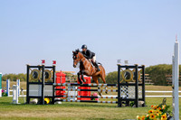 2025 - Haylee - Harvest Horse Show - Sunday, September 14th 12155