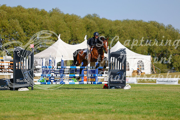 2025 - Haylee - Harvest Horse Show - Sunday, September 14th 12161