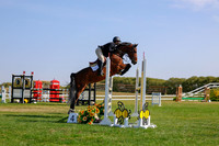 2025 - Haylee - Harvest Horse Show - Sunday, September 14th 12164