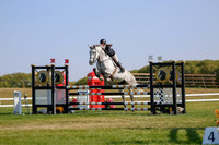 2025 - Haylee - Harvest Horse Show - Sunday, September 14th 12463