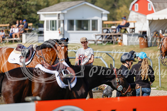 2025 - Haylee - Harvest Horse Show - Sunday, September 14th 07698