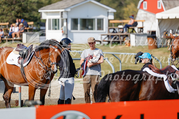 2025 - Haylee - Harvest Horse Show - Sunday, September 14th 07701