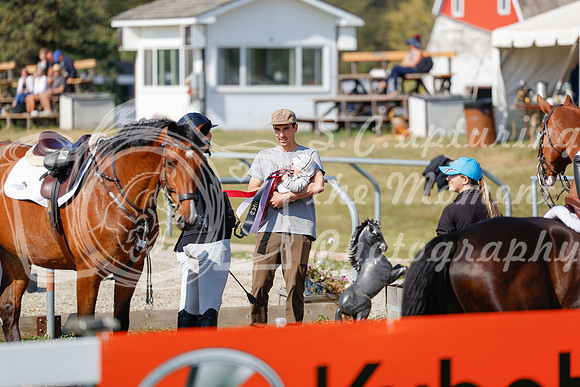 2025 - Haylee - Harvest Horse Show - Sunday, September 14th 07703