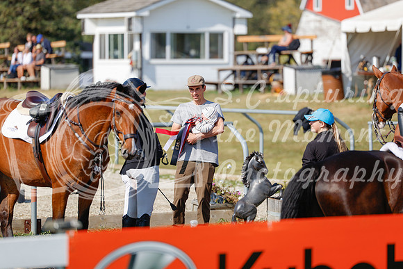 2025 - Haylee - Harvest Horse Show - Sunday, September 14th 07704