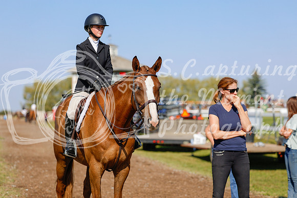 2025 - Haylee - Harvest Horse Show - Sunday, September 14th 08820