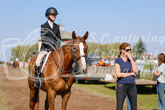 2025 - Haylee - Harvest Horse Show - Sunday, September 14th 08821