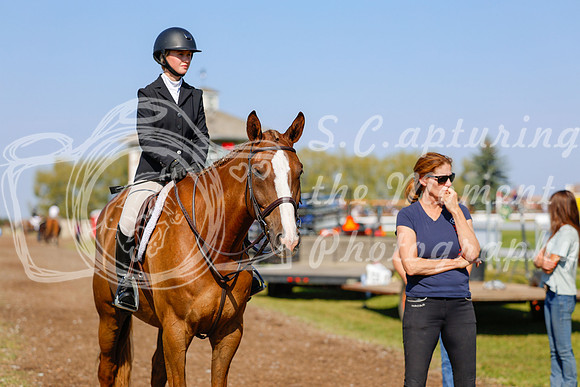 2025 - Haylee - Harvest Horse Show - Sunday, September 14th 08822
