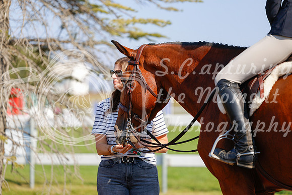 2025 - Haylee - Harvest Horse Show - Sunday, September 14th 08923