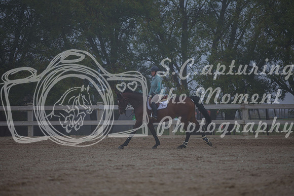 2025 - Karlee - Harvest Horse Show - Sunday, September 14th 03303