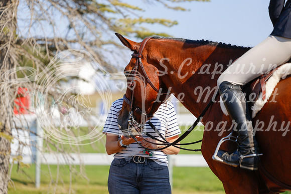 2025 - Haylee - Harvest Horse Show - Sunday, September 14th 08925