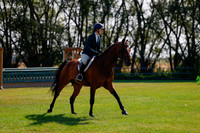 2025 - Haylee - Harvest Horse Show - Sunday, September 14th 08464