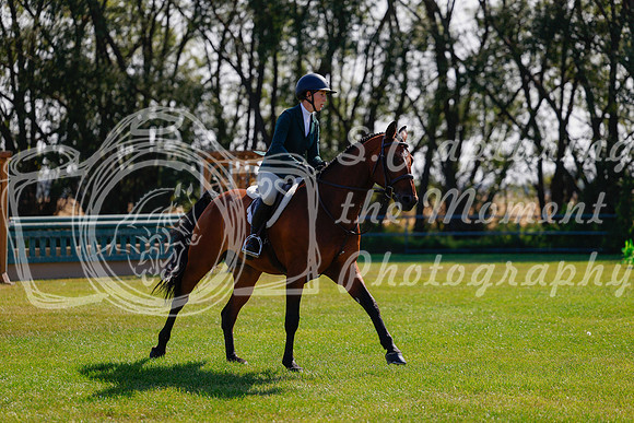 2025 - Haylee - Harvest Horse Show - Sunday, September 14th 08464