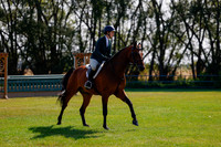 2025 - Haylee - Harvest Horse Show - Sunday, September 14th 08463