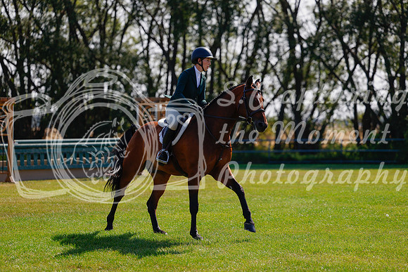 2025 - Haylee - Harvest Horse Show - Sunday, September 14th 08463