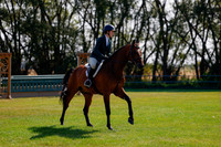 2025 - Haylee - Harvest Horse Show - Sunday, September 14th 08462