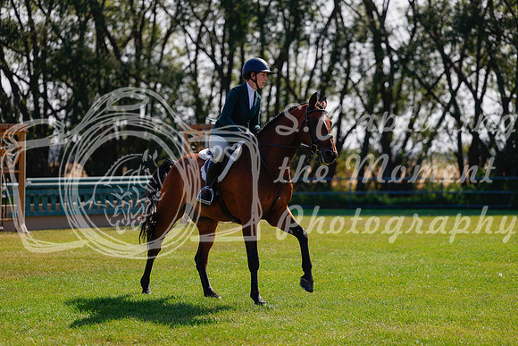 2025 - Haylee - Harvest Horse Show - Sunday, September 14th 08462