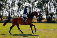 2025 - Haylee - Harvest Horse Show - Sunday, September 14th 08465