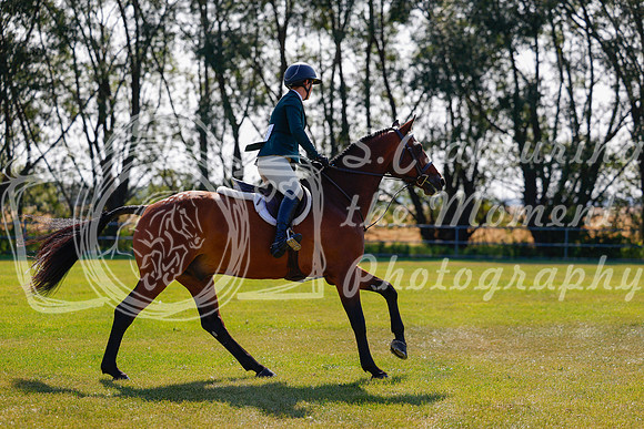 2025 - Haylee - Harvest Horse Show - Sunday, September 14th 08465