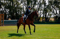 2025 - Haylee - Harvest Horse Show - Sunday, September 14th 08461
