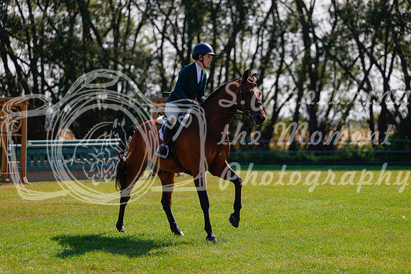 2025 - Haylee - Harvest Horse Show - Sunday, September 14th 08461