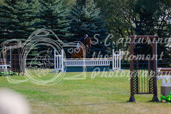 2025 - Haylee - Harvest Horse Show - Sunday, September 14th 08466