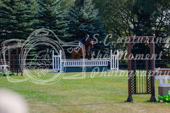 2025 - Haylee - Harvest Horse Show - Sunday, September 14th 08469