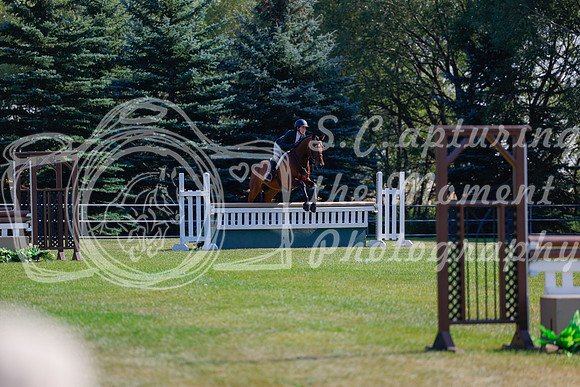2025 - Haylee - Harvest Horse Show - Sunday, September 14th 08470