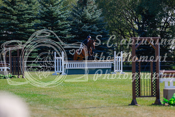 2025 - Haylee - Harvest Horse Show - Sunday, September 14th 08468