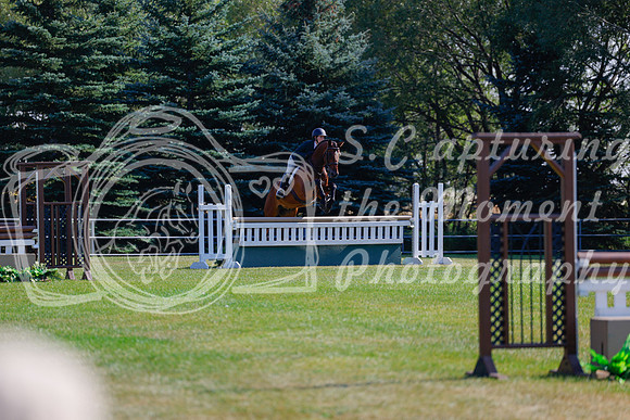 2025 - Haylee - Harvest Horse Show - Sunday, September 14th 08467
