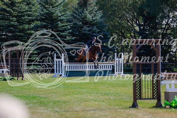 2025 - Haylee - Harvest Horse Show - Sunday, September 14th 08472