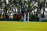 2025 - Haylee - Harvest Horse Show - Sunday, September 14th 08475