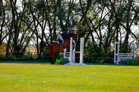 2025 - Haylee - Harvest Horse Show - Sunday, September 14th 08476