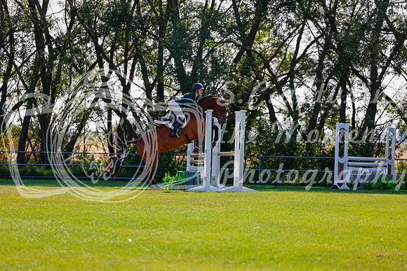 2025 - Haylee - Harvest Horse Show - Sunday, September 14th 08476