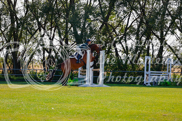 2025 - Haylee - Harvest Horse Show - Sunday, September 14th 08478