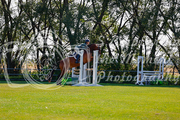 2025 - Haylee - Harvest Horse Show - Sunday, September 14th 08480