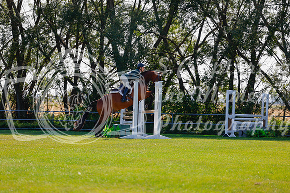 2025 - Haylee - Harvest Horse Show - Sunday, September 14th 08479