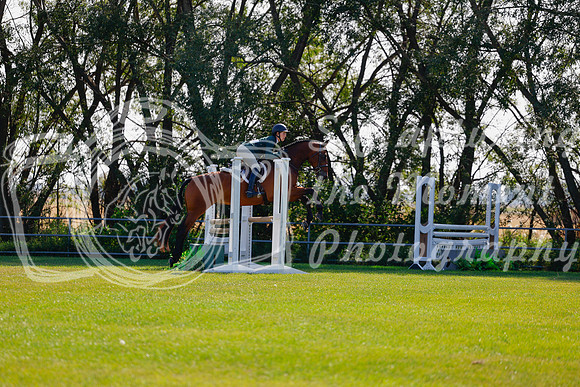 2025 - Haylee - Harvest Horse Show - Sunday, September 14th 08483