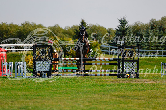 2025 - Haylee - Harvest Horse Show - Sunday, September 14th 12608