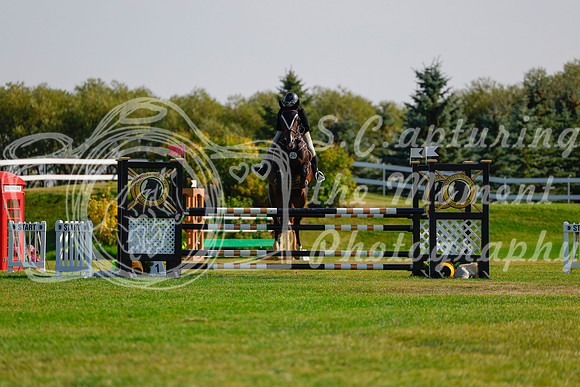 2025 - Haylee - Harvest Horse Show - Sunday, September 14th 12610