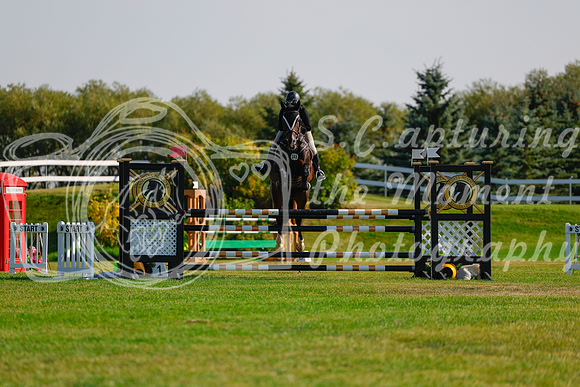2025 - Haylee - Harvest Horse Show - Sunday, September 14th 12611