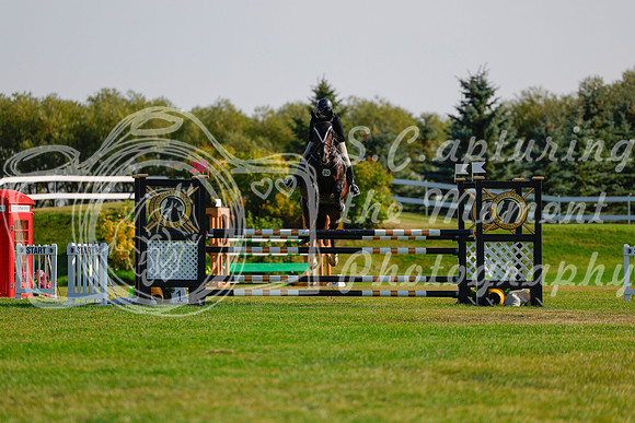 2025 - Haylee - Harvest Horse Show - Sunday, September 14th 12612