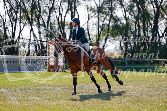 2025 - Haylee - Harvest Horse Show - Sunday, September 14th 08486