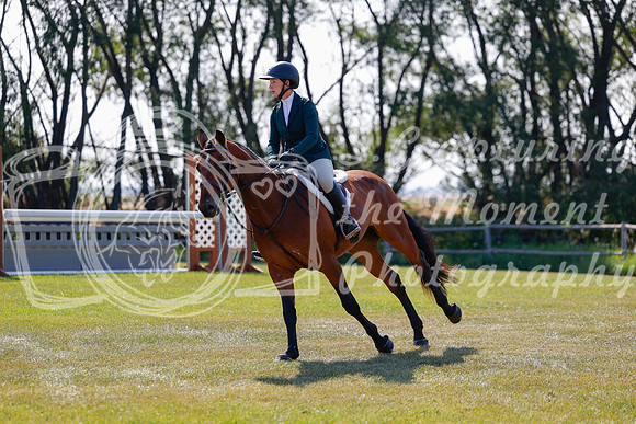 2025 - Haylee - Harvest Horse Show - Sunday, September 14th 08487