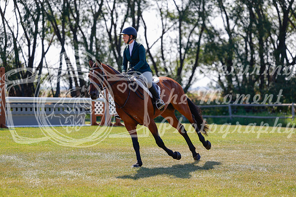 2025 - Haylee - Harvest Horse Show - Sunday, September 14th 08488