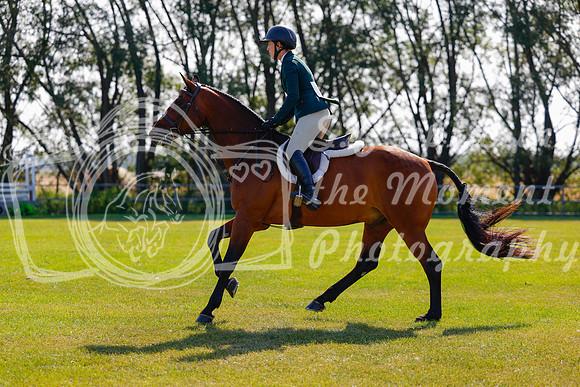 2025 - Haylee - Harvest Horse Show - Sunday, September 14th 08490