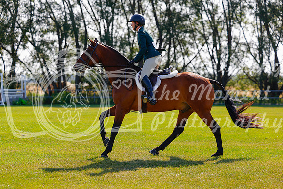 2025 - Haylee - Harvest Horse Show - Sunday, September 14th 08491