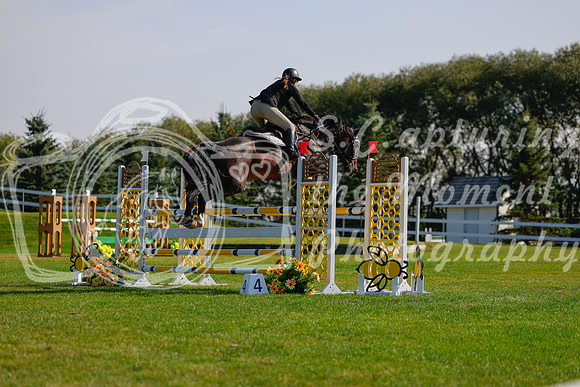 2025 - Haylee - Harvest Horse Show - Sunday, September 14th 12629