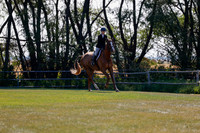 2025 - Haylee - Harvest Horse Show - Sunday, September 14th 08823