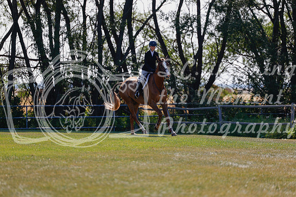 2025 - Haylee - Harvest Horse Show - Sunday, September 14th 08823